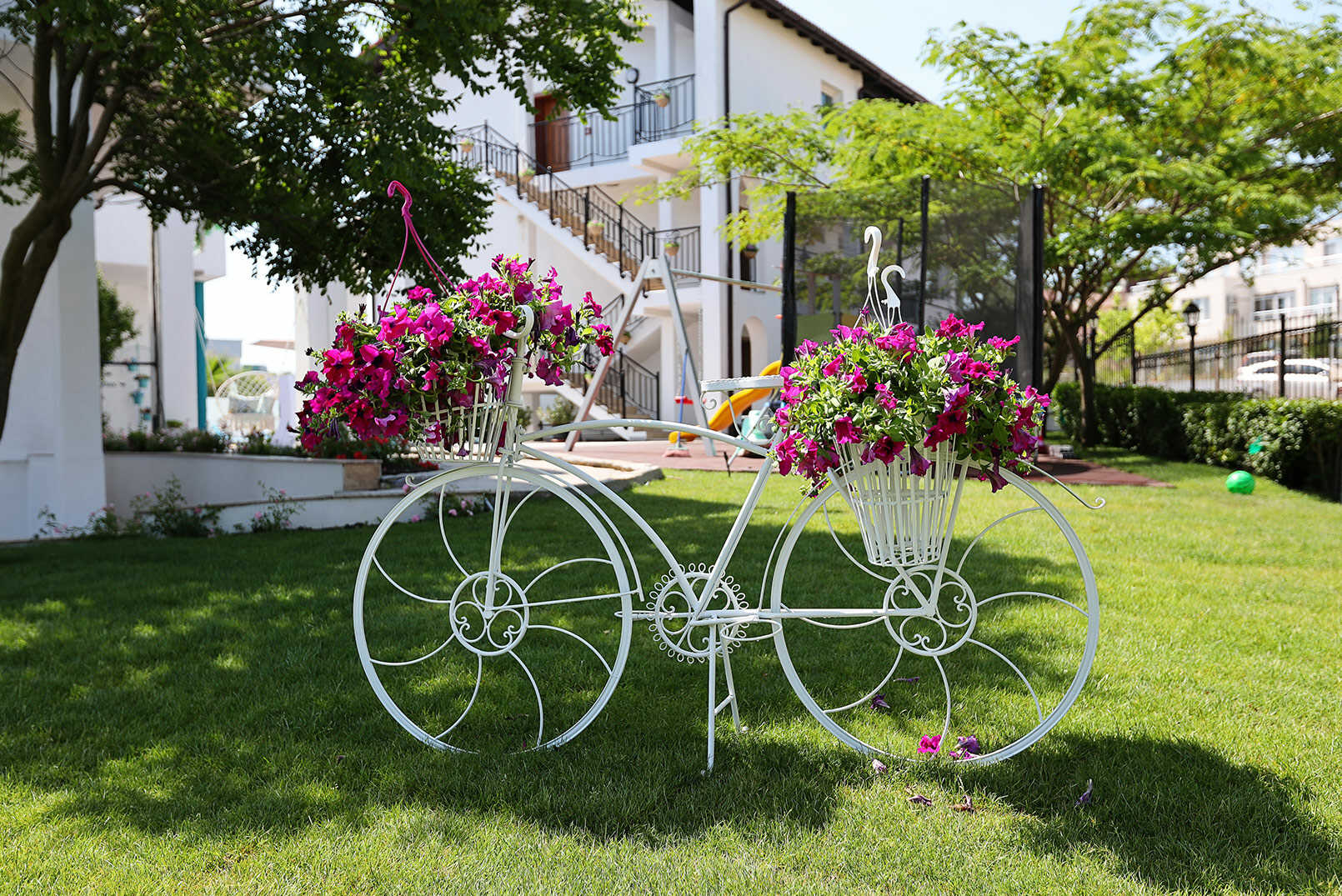 Summer garden